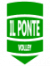 logo MICROTEL IL PONTE